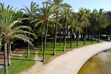 Parque de Túria en Valencia