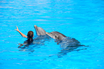 Obraz premium Dolphins