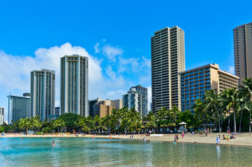 Fototapeta premium Beautiful view of Honolulu, Hawaii, United States