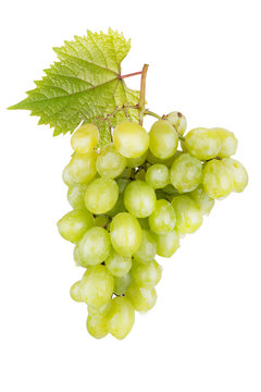 fresh white grapes with leaves