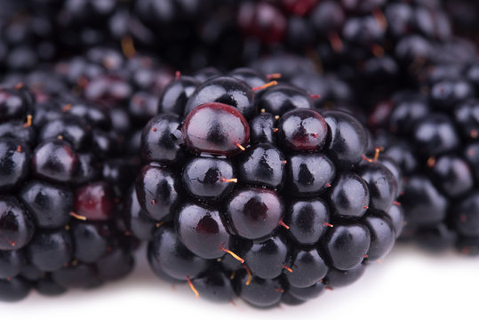 ripe blackberry close
