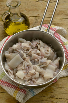 Calamares Loligo vulgaris Calamari Squid Calmars Kalmare