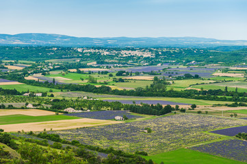 Fototapeta na wymiar Aerial the lavender fields in Provence, France