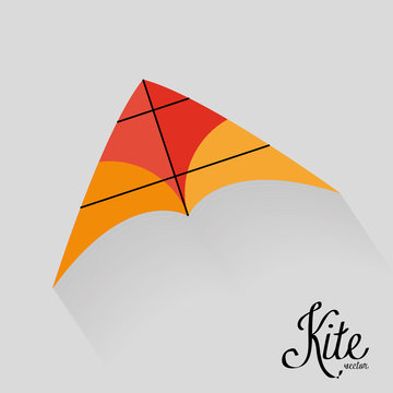 Colorful Kite Isolated On Background