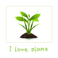 i love plant