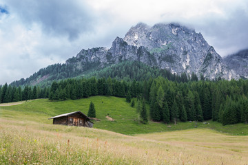 wooden house in a green meadow near mountains