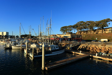 habour and fishing boats