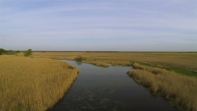 River and cane. Aerial  view