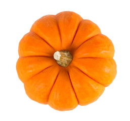Mini Orange Pumpkin Isolated on White