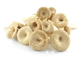 mushroom on white background