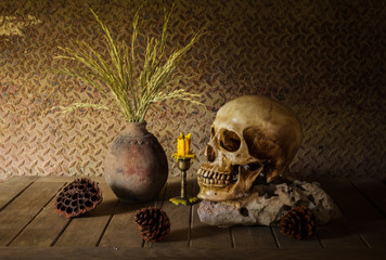 Still Life with a Skull.