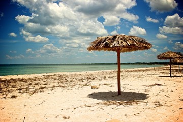 View of a caribbean beach from the water