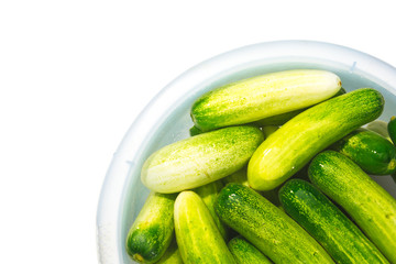 The green cucumbers in water on white background