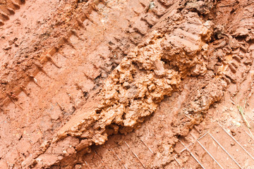 Bulldozer tracks in the dirt