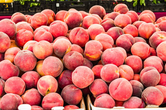 Fresh picked peaches on display