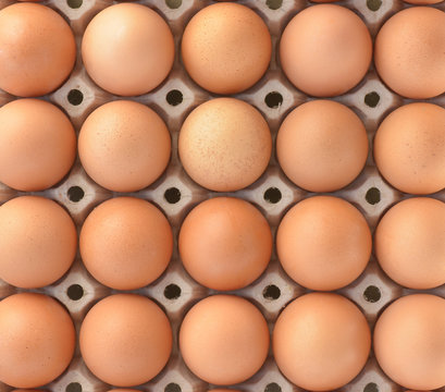 top view of brown chicken eggs in box