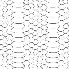 Fototapeta premium Snake skin texture. Seamless pattern black and white background.