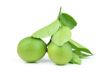 Lime with leaf on a white background.