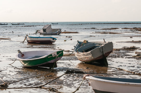 Abandoned boats