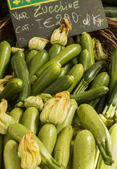marrows