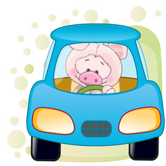 Pig in a car