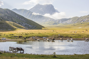 Laghetto Pietranzoni ai piedi del Gran Sasso, Abruzzo - HDR