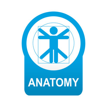 Etiqueta tipo app azul redonda ANATOMY