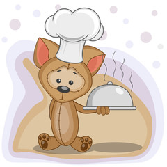Cook Puppy