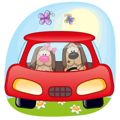 Two Dogs in a car