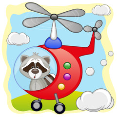 Raccoon in helicopter