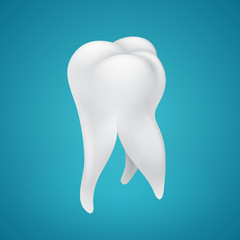 Human healthy tooth