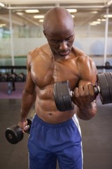 Muscular man exercising with dumbbells in gym