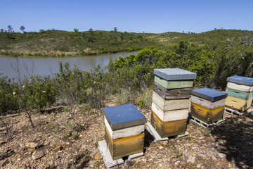 Fototapeta na wymiar Honeycomb crates on nature next to a beautiful lake.