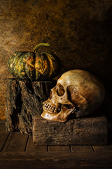 Still Life Skull and pumpkin on the timber.