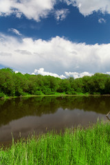 Fototapeta na wymiar Pond, trees and blue sky
