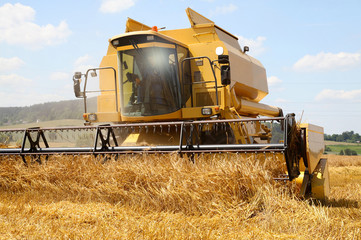 Fototapeta na wymiar Combine harvester on a wheat field with a blue sky