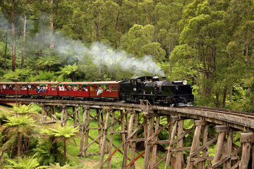 Puffing Billy, old steam train in Australia