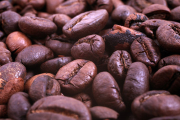 Coffee Beans