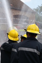 Naklejka premium fire crew