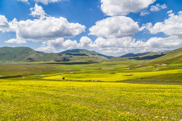 Summer landscape at Piano Grande, Umbria, Italy