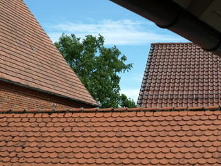 Hinterhofdächer mit Baum