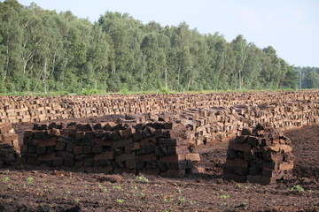 Torfabbau in der Lüneburger Heide