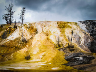 Mammoth hot springs