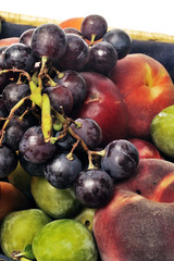 Basket of fruit isolated on white background in studio