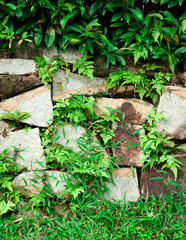 old stone wall and green grass