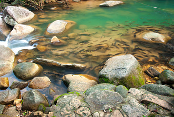 Waterfall in national park , Chanthaburi , thailand