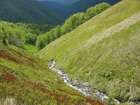 Весенние потоки воды на склонах гор