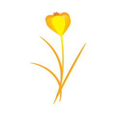 Background with a colorful  flower