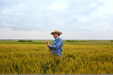 Naklejka na ściany i meble Farmer with a hat in the wheat field