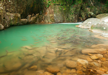 Waterfall in national park , Chanthaburi , thailand